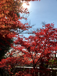 98710AC1-0C77-451F-834D-310DD6ABD93A.jpg